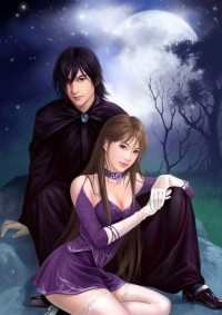 碧池渊的婊子们