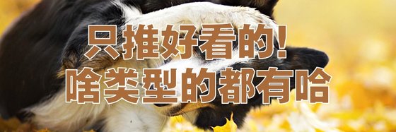 只推好看的！啥型別的都有哈